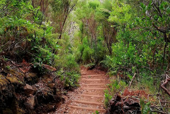 The Lakes Walk - Why Paul da Serra sets the tone for The Lakes Walk