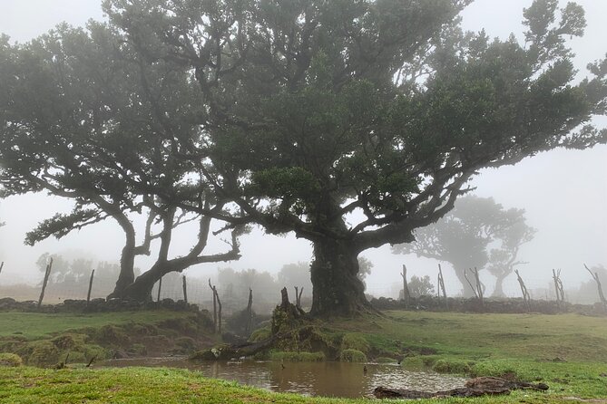 The Untraveled West Tour - West Madeira in one long, scenic push