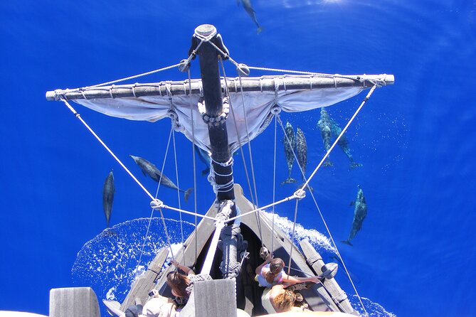 Time Travel on Columbus Replica Flag Ship in Madeira - The summer swim stop near Cabo Girão, safe and scenic