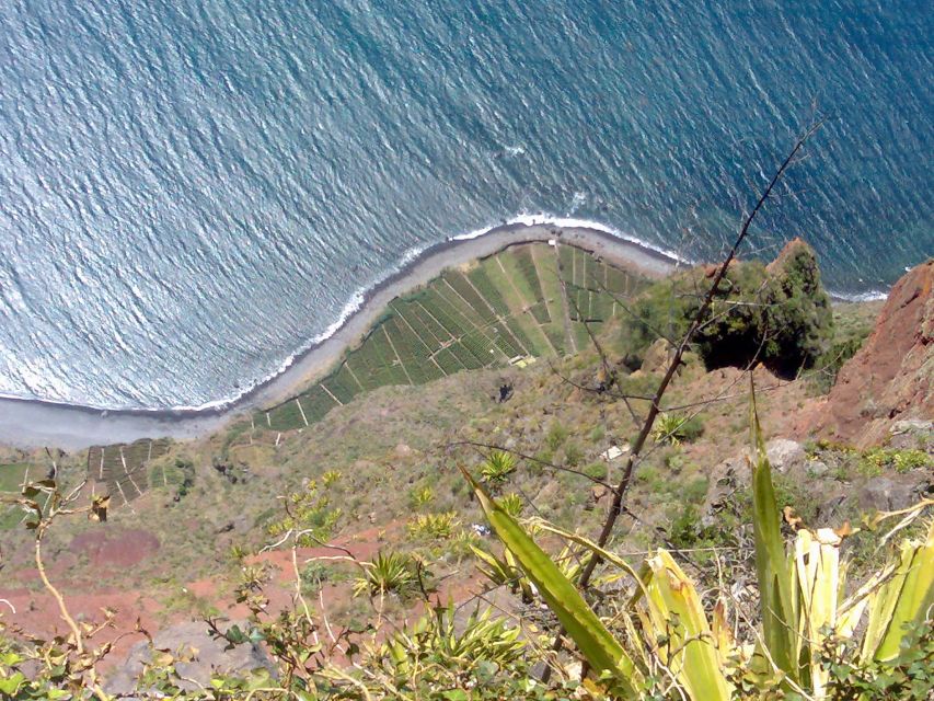 Toboggan Ride & Madeira Wine Tasting Tour - Key takeaways