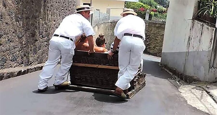 Toboggan Ride & Madeira Wine Tasting Tour - Câmara de Lobos: monk seals, Churchill paint vibes, and poncha