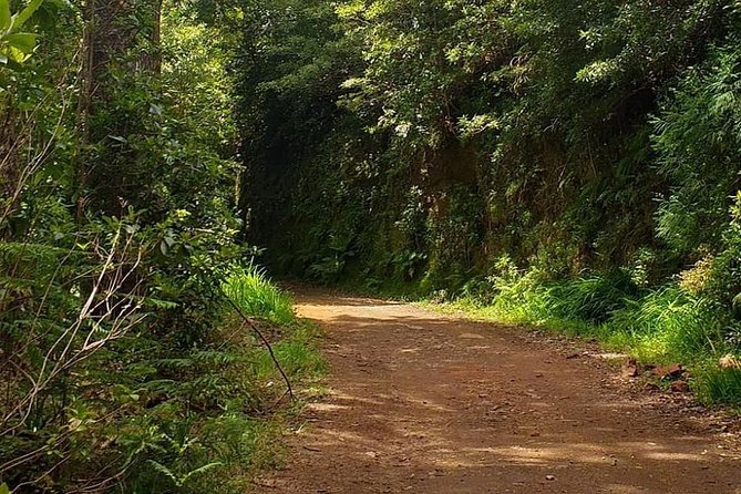 Traditional Sunday Market - Half Day Tour - 4x4 - Price and value: what $46.54 covers in real terms