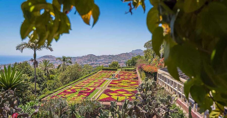 Tuk Tuk Botanical Garden - Madeira Island - Key things I’d plan around before you go