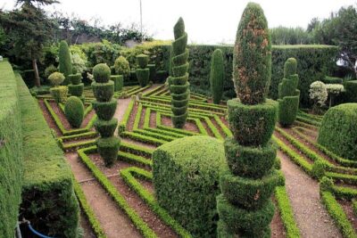 Tuk Tuk Botanical Garden – Madeira Island