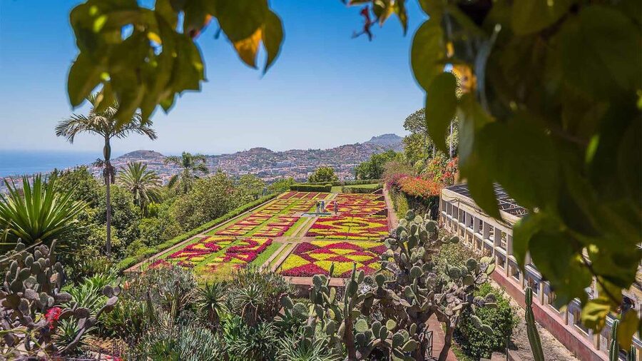 Tuk Tuk Botanical Garden - Madeira Island - The practical checklist I’d use on the day