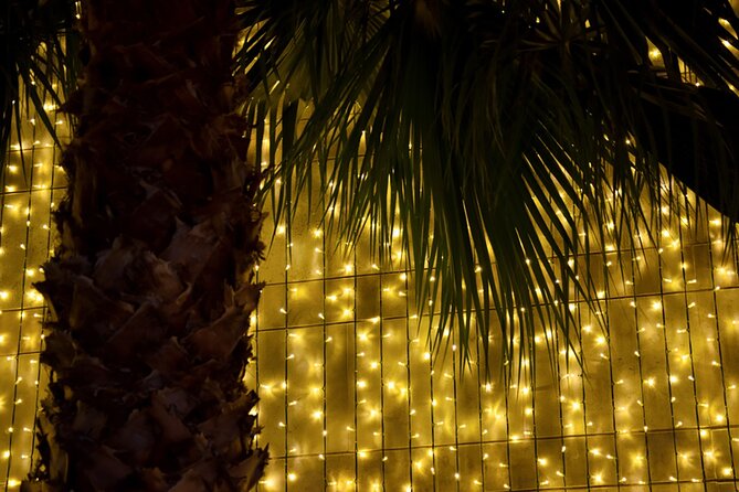 Tuk Tuk Funchal Magic Christmas Lights - What is included, and what you should plan for