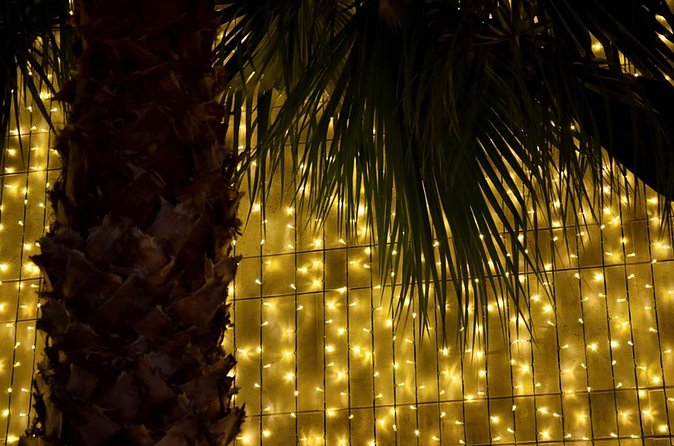 Tuk Tuk Funchal Magic Christmas Lights - Is it good value at $108.84 per group?