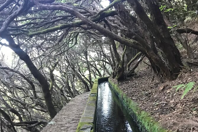 Twenty-Five Fountains Levada walks (private) - Hotel pickup, small group size, and what the price is actually buying