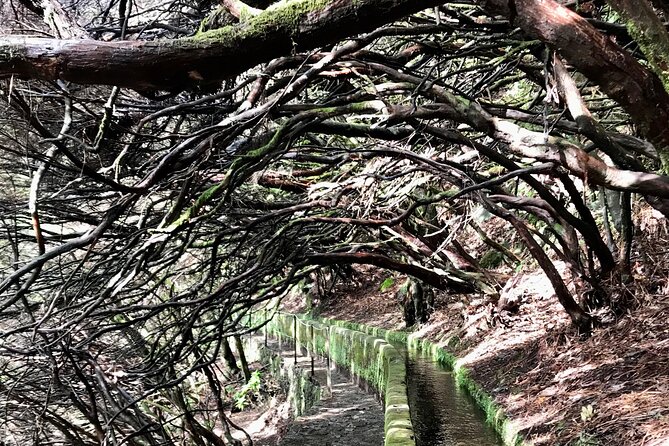 Twenty-Five Fountains Levada walks (private) - The 12 km walking reality: pace, tunnel crossing, and winter conditions