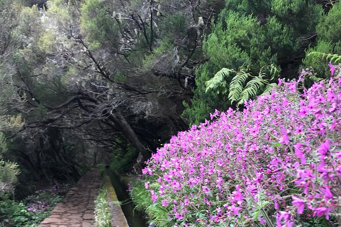 Twenty-Five Fountains Levada walks (private) - The guide experience: why Pablo and Paulo Jesús get mentioned