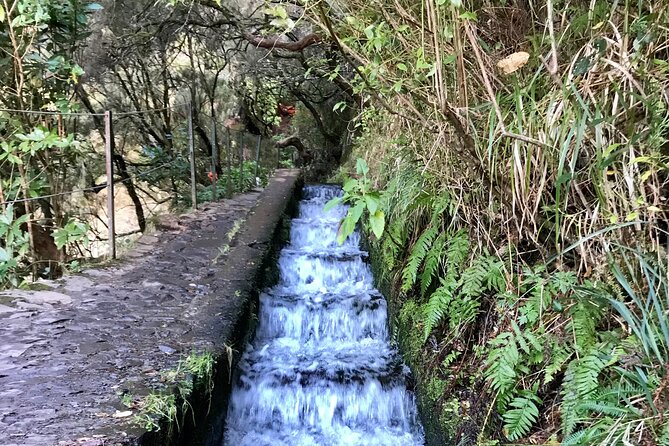Twenty-Five Fountains Levada walks (private) - Value check: what makes this worth $90.31 per person