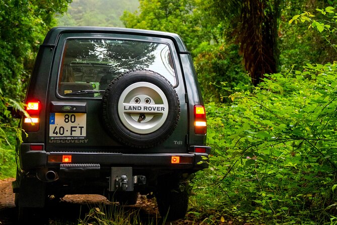 Unveil West Madeira: 4x4 Cliffs, Pools & Views - Ponta do Sol: a calmer coastal finish with sunshine energy