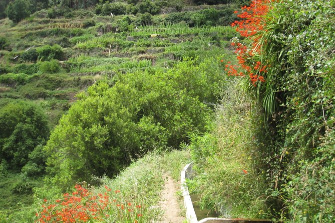 Vale da Serra d'Água (Half Day Walk) - Why Serra d’Água Valley is a smart Madeira half-day