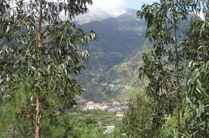 Vale da Serra d'Água (Half Day Walk) - Price and value: what you get for about $41.13