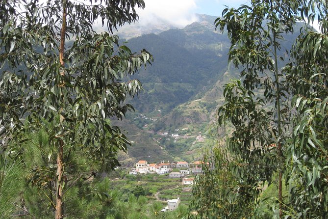 Vale da Serra d'Água (Half Day Walk) - The 9:00 am start and what 4 hours feels like