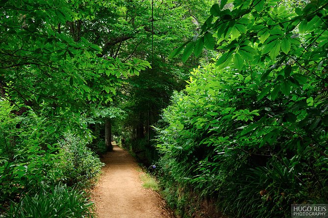 Vale Paraiso - Paradise Valley Walk - Key things to know before you go