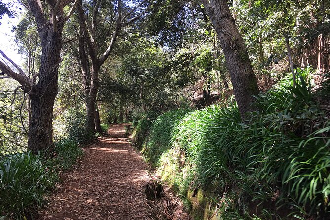 Vale Paraiso - Paradise Valley Walk - Camacha to Paradise Valley, the Madeira way to do it