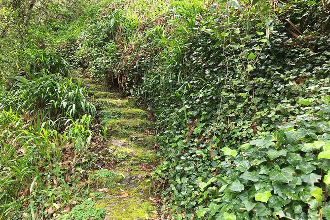 Vale Paraiso - Paradise Valley Walk - Pickup in Funchal and why the 8:30am start helps