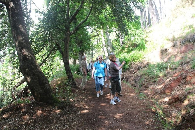 Vale Paraíso - Rochão (Half Day Walk) - Key highlights you will care about