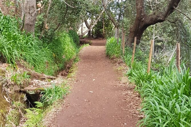 Vale Paraíso - Rochão (Half Day Walk) - Pace, group size, and what Yulia’s guidance adds