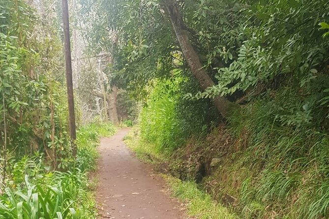 Vale Paraíso - Rochão (Half Day Walk) - Price and value: is $37.08 worth it?