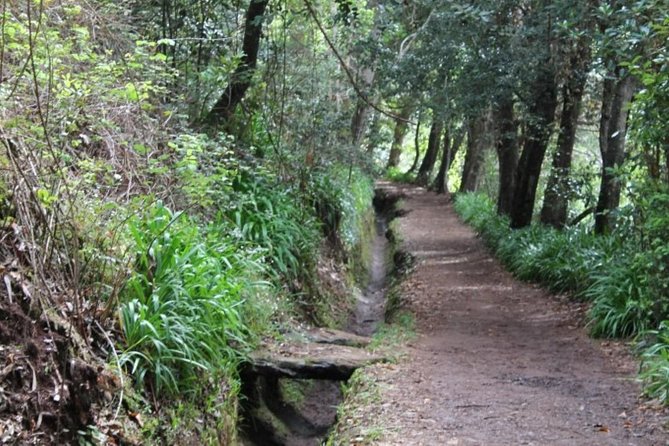 Vale Paraíso - Rochão (Half Day Walk) - Who should book this walk, and who might skip it