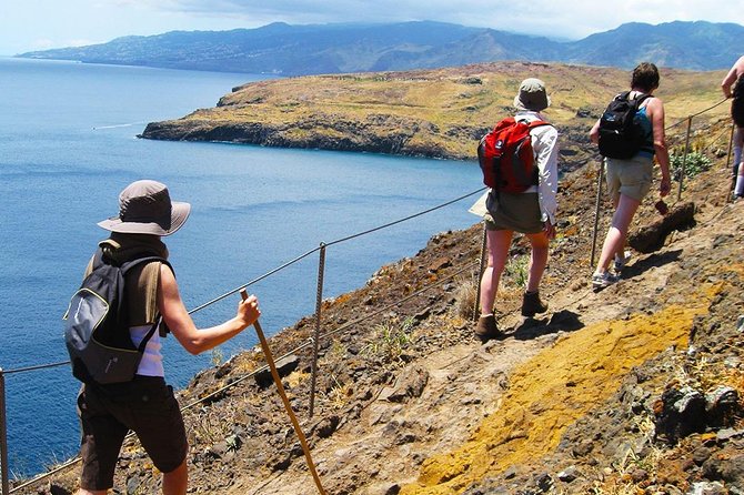 Vereda da Ponta de São Lourenço Trail Walking Tour - North and south viewpoints: what to actually look for