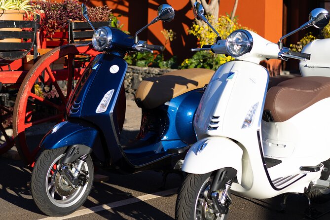 Vespa Primavera 24 Hour Rental in Madeira - How to Plan Your Day Since There’s No Fixed Itinerary