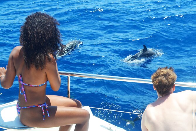 VipDolphins Luxury Whale Watching - Why This 3-Hour Whale Watching Trip Feels Like a Treat