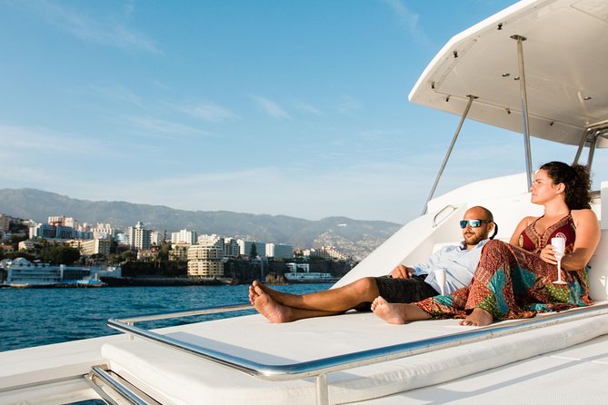 VipDolphins Luxury Whale Watching - What the Dolphin and Whale Search Actually Looks Like