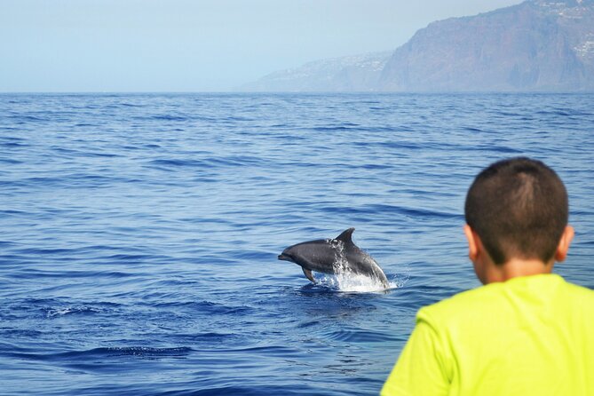 VipDolphins Luxury Whale Watching - The Cabo Girao Swim and Snorkeling Break: the Best Mid-Trip Reset