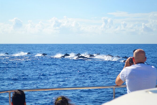 VipDolphins Luxury Whale Watching - Onboard Comfort: Snacks, Drinks, Blankets, and Practical Crew Help