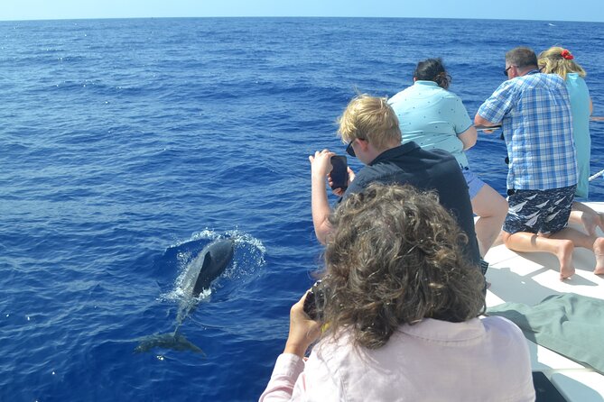 VipDolphins Luxury Whale Watching - Weather Reality in Madeira: Plan for a Bit of Sway