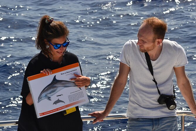 VipDolphins Luxury Whale Watching - Getting to the Catamaran in Funchal (and Starting Smooth)