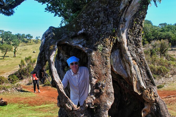 Volcanic Pools and Northwest 4WD Full Day Tour - Price and value: what you really pay for