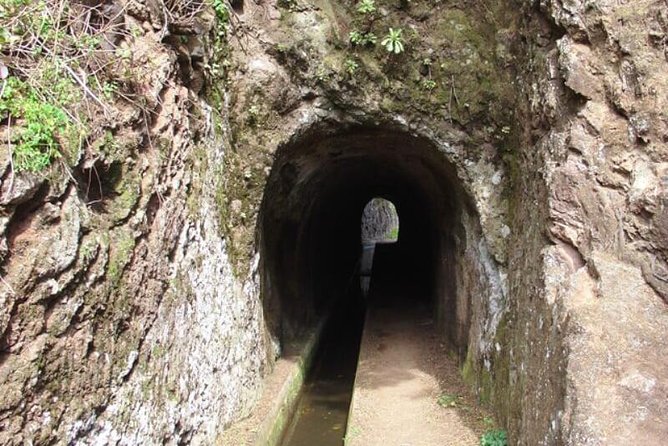 Walk - Vale Das Mimosas - Key Highlights You Will Actually Care About