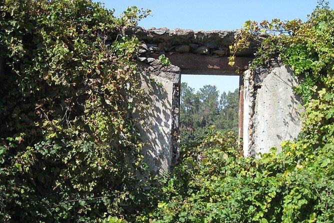 Walk - Vale Das Mimosas - Pace, Stops, and the Vegetation Focus