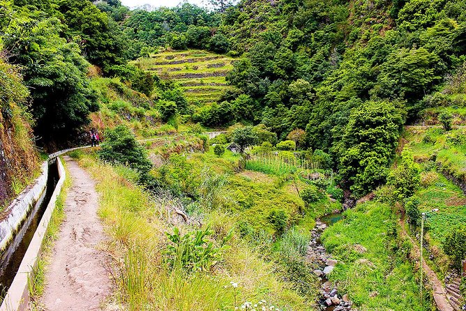 Walk - Vale Das Mimosas - Price and Value: What 42.24 Buys You