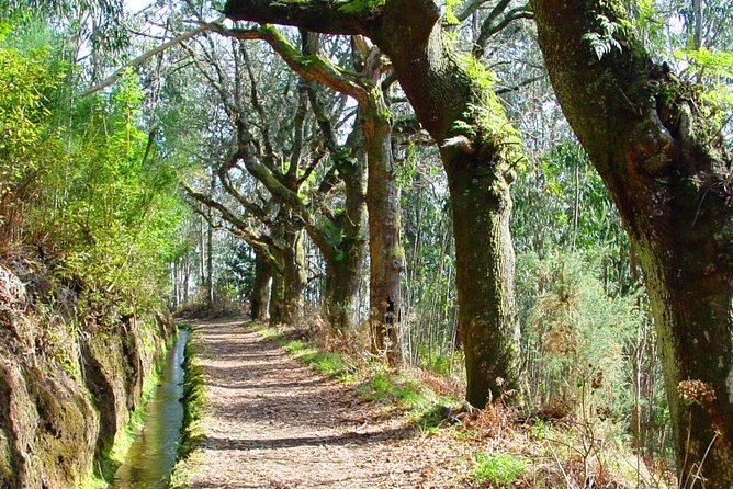 Walk - Vale Das Mimosas - Who This Walk Suits Best (And Who Might Want Something Else)