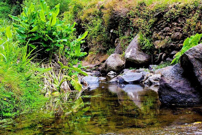 Walk - Vale Das Mimosas - The 6 Km Route and What 3 Hours on the Path Means