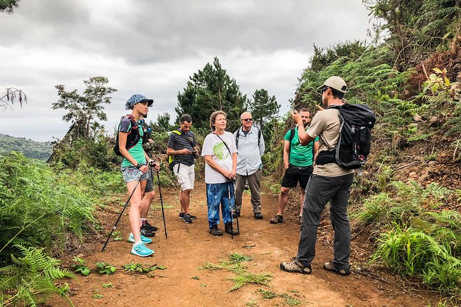 Walk with a local - The 4 to 6 hour flow: car trip, forest time, and a drink if you want
