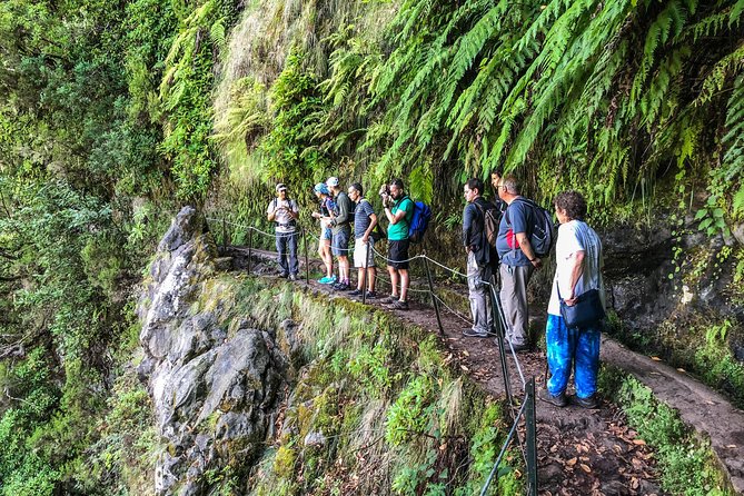 Walk with a local - Pickup and private transport: the real time-saver on Madeira
