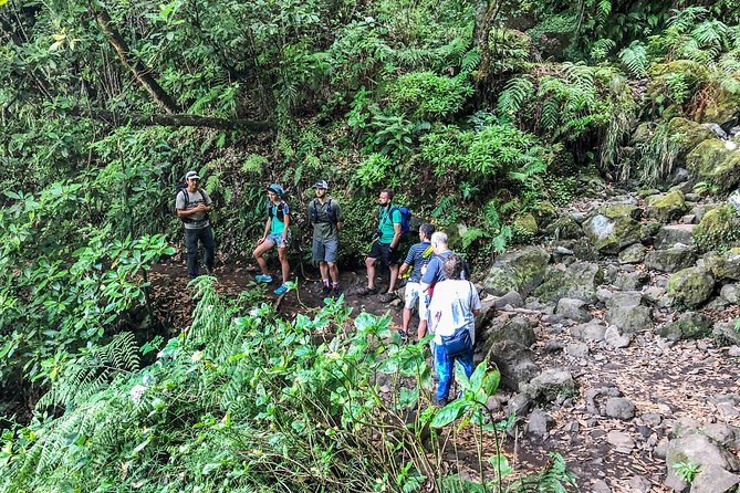 Walk with a local - Trail reality check: shoes, dew, tunnels, and steady footing