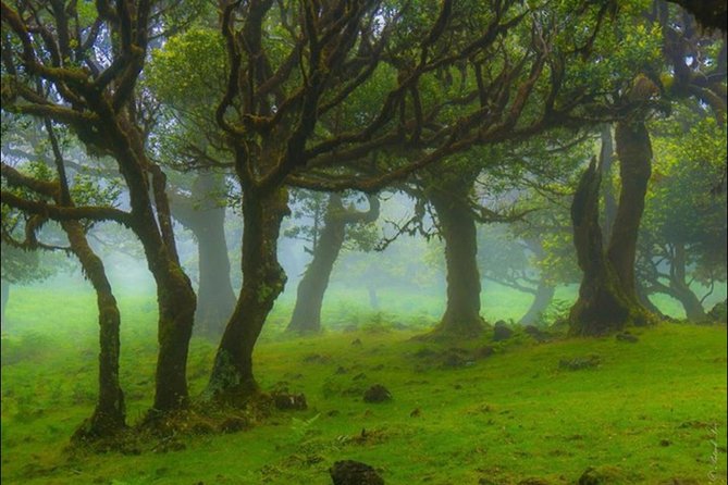 West Madeira 4x4 Tour with Local Guide - Stop 3: Seixal to São Vicente, and the West Coast feel