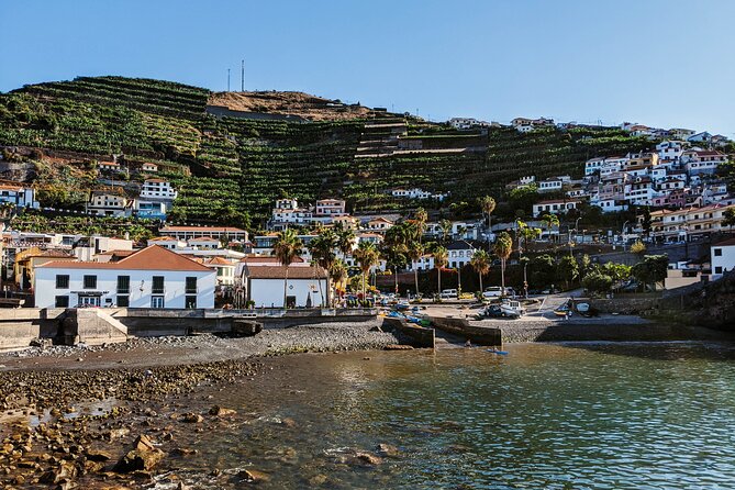 West Madeira Island Guided Tour & Fanal Mystic Forest - Price and Value: What You Pay for the Route