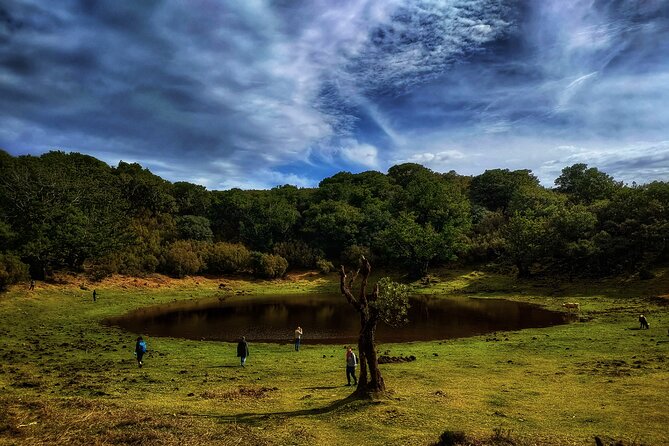 West Madeira Island Guided Tour & Fanal Mystic Forest - How the Day Flows: Stops, Time, and Group Size