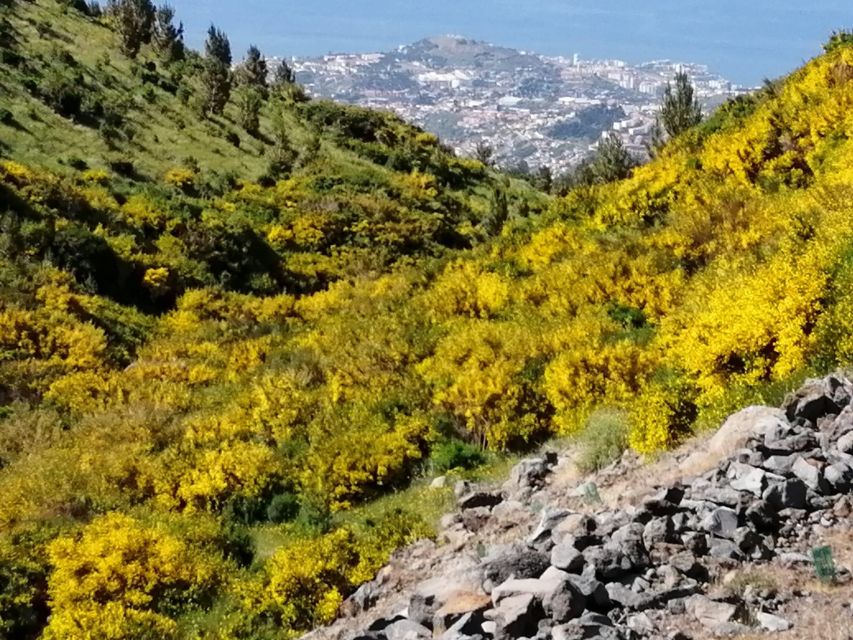 West Madeira:, Laurel Forest, Waterfall, Rock Pools, Walk - São Vicente Waterfront and the Possible Wine Moment