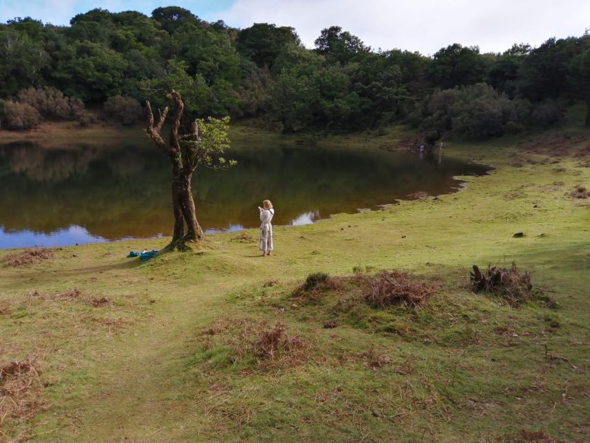 West Madeira:, Laurel Forest, Waterfall, Rock Pools, Walk - Pickup in Funchal, Small-Group Pace, and What to Watch For