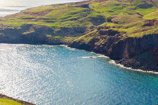 West of Madeira Private Half-Day Tour - Câmara de Lobos: fishing village charm and the poncha moment