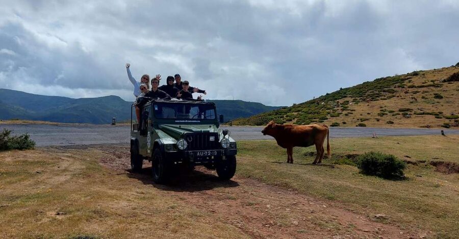 West Safari - The natural pool Porto Moniz Open Roof Jeeps - Key highlights worth planning around